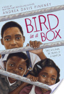 Bird in a Box