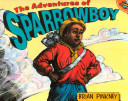 The Adventures of Sparrowboy