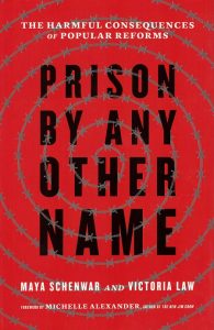 Prison by any other name - link to Bookshop