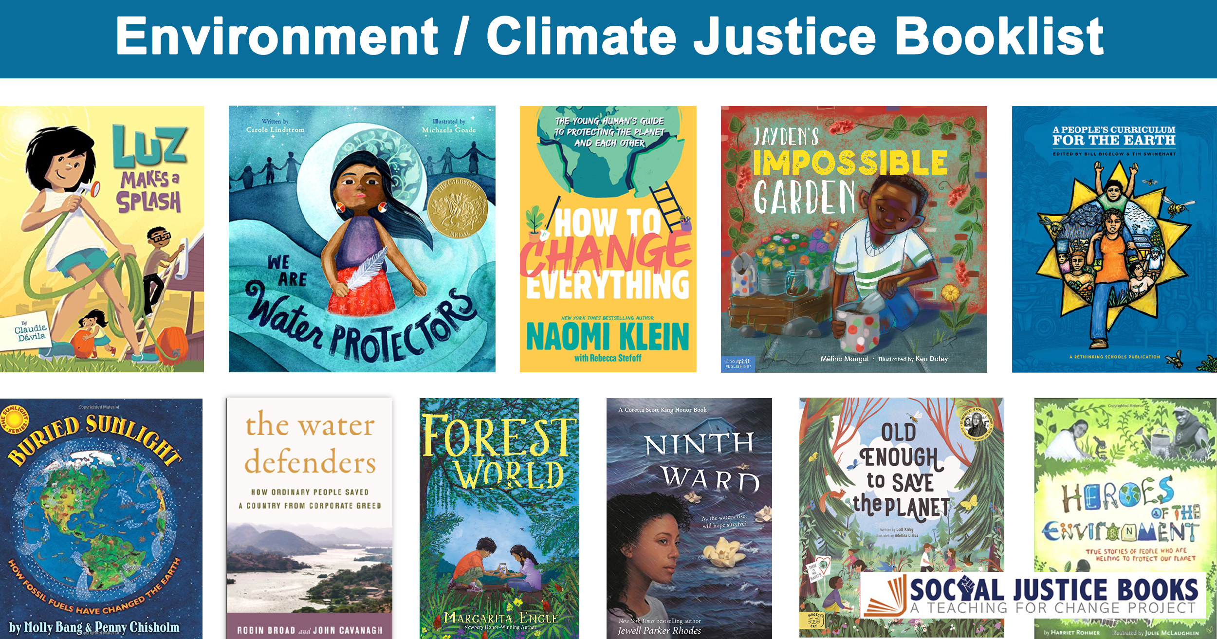 Environment / Climate Justice - Social Justice Books